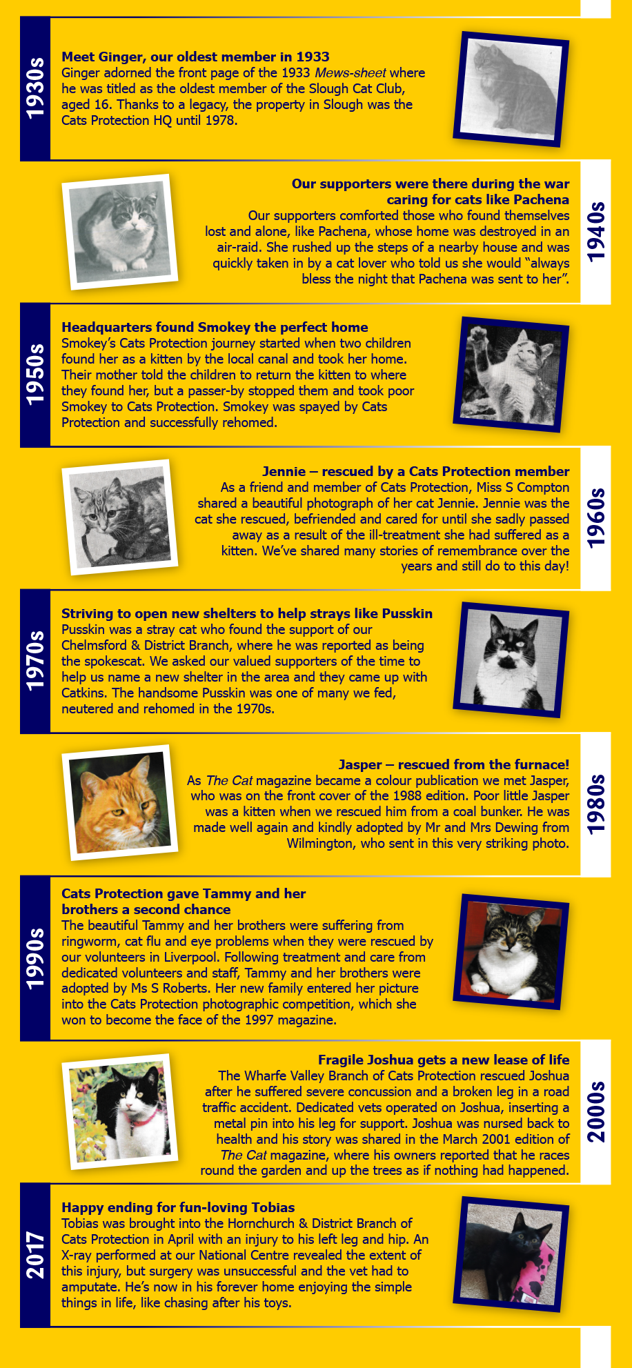 Cats Protection Stats