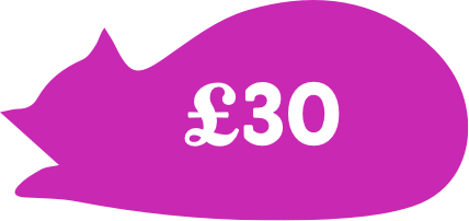 £30 could pay for a special heated cat bed to keep a cat warm and cosy while in our care.