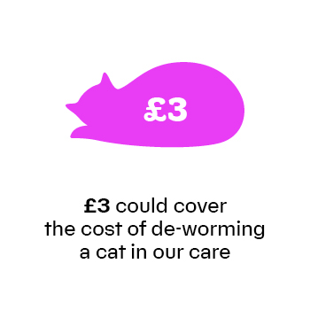 £3 will cover the cost of de-worming a cat in our care.