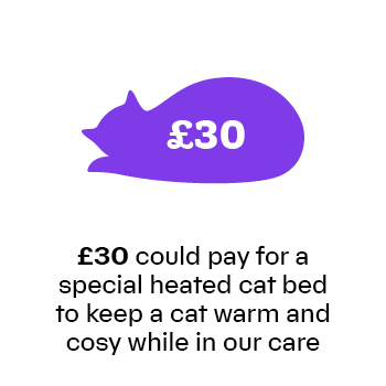 £30 would pay for a special heated cat bed to keep a cat warm and cosy while in our care