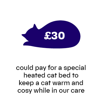£30 would pay for a special heated cat bed to keep a cat warm and cosy while in our care
