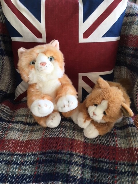 Cats Protection Lottery E Cats Protection Lottery E