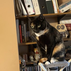 Tony Shepherd, £5 Weekly Lottery winner “Many thanks for my £5 Lottery win. We’ve treated Florence to a new bed as she will be seven next month. She is a rescue cat and likes nothing better than a fuss and a cuddle.” 