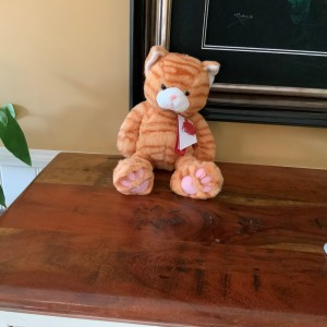 Gillian Hood’s fast entry cuddly cat, who she has named Marmaduke.