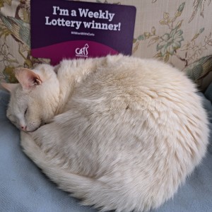 “It was fantastic to get the call to say we'd won £1,000. Dolly our rescue cat was unenthusiastic about our win as you can see in the photo!” - Dee O'Neill - £1,000 Lottery Winner