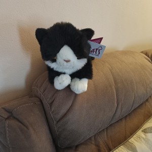 “I was so delighted to receive my adorable black-and-white cuddly cat. He arrived in a special box, and I gave him plenty of welcome home cuddles. We named him Pawsie.” Christine Williams, Cat Lovers Raffle subscriber.