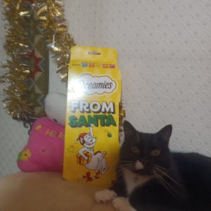 Ros Connors, £5 Weekly Lottery winner “Wow! Another win in the Weekly Lottery. I'm delighted to receive a £5 runner-up prize, but no more delighted than my tuxedo cat, Blackie.”