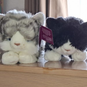 “Just have to say a big thank you for our Fast Entry Raffle cuddly cat. We have named him Charlie after the tabby we once had. As you can see, he is together with Felix, also a Cats Protection gift.” Simon Bodmer – Fast Entry cuddly cat winner