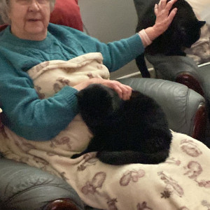 Angie Smith, £5 Weekly Lottery winner -  “I shall be 80 in a few weeks and normally only receive bills in the post, so imagine my surprise when a cheque arrived for me! How lovely! Here I am with my two handsome rescue cats Sooty and Sweep.” 