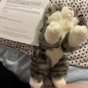 Elizabeth Mullen, Cat Lovers Raffle subscriber - "This is my cat. She is called Kitkat. I won her in the raffle. I love how soft she is. Thank you for my cat. I love cats. I grew up with cats.”