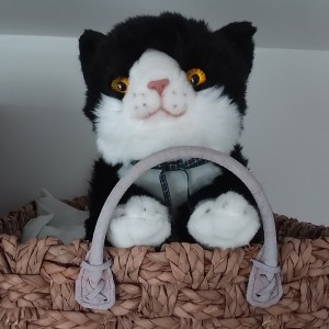 “Thank you for my raffle subscription cuddly cat! I’ve named him Spruce and he is sitting safely on top of my wardrobe overlooking the garden.” - Libby Stephens