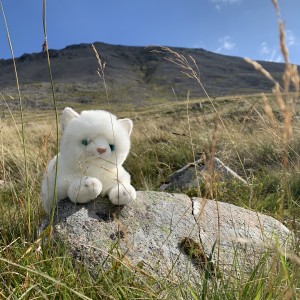  “Since we won Oscar he has travelled to the Highlands of Scotland and walked halfway up Ben Nevis with us. He had sore paws the next day, but he loved the fantastic view and the warmth of the sun on his fur.” - Nicola