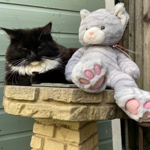 Beth Jamieson’s fast entry cuddly cat with Cookie.