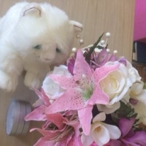 Snowflake - Marilyn Scott's cuddly cat