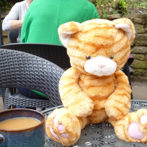 Hazel Barton’s fast entry cuddly cat out and about!