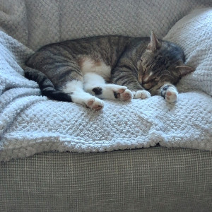 May Redfern, £10 Spring Raffle winner "Very happy to have just received my Raffle prize. We will always support Cats Protection because we have always had cats. This is our cat, Barney, who will no doubt be getting most of the winnings in treats."