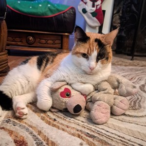 Steve Solomons, £5 Weekly Lottery winner. Steve’s cat, Millie.