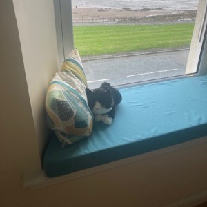 Adele's subscription cat Simba
