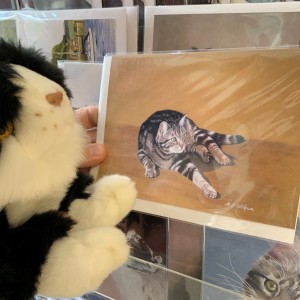 Sandra Wilkes, Cat Lovers Raffle subscriber  - “I was thrilled to receive my cuddly cat, who we named Sooty after our much-loved black cat, who was part of our family for 19 years. Yesterday she visited our local art and craft gallery!”