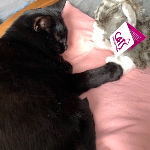 Jo Smith’s Fast Entry cuddly cat, who she has named Cuddles, with Boudicca.