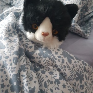 Morticia's cuddly cat Lulu