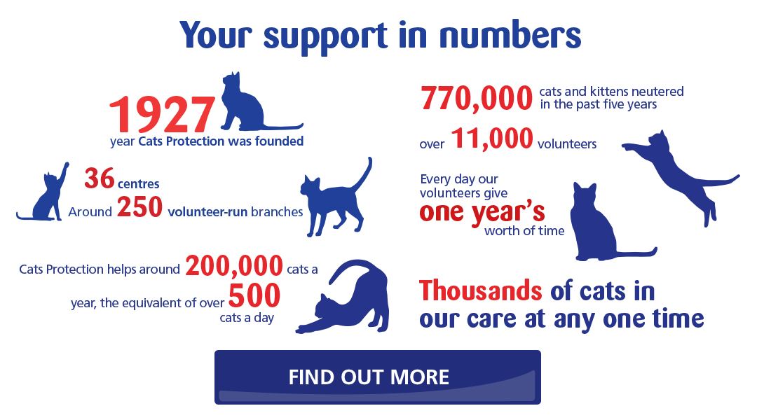 Cats Protection Stats