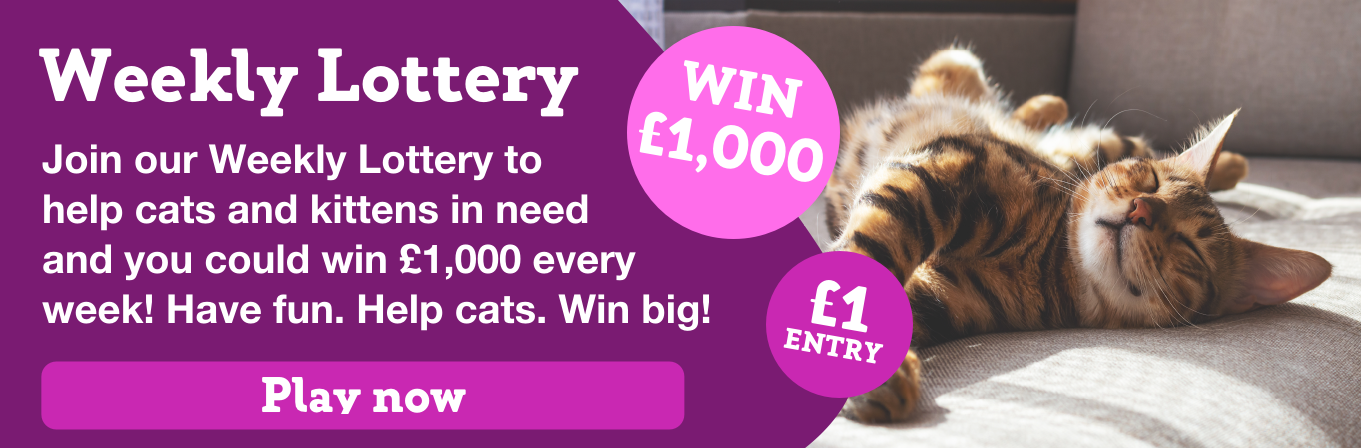 Join the Weekly Lottery