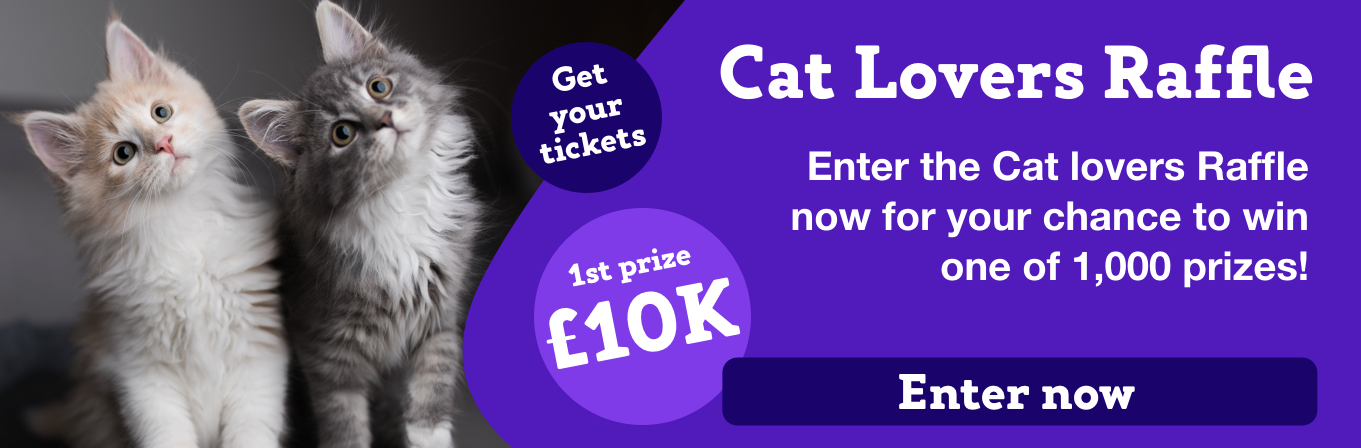 Cat Lovers Raffle
