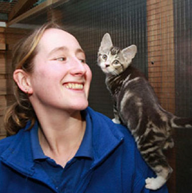 Volunteer with cat