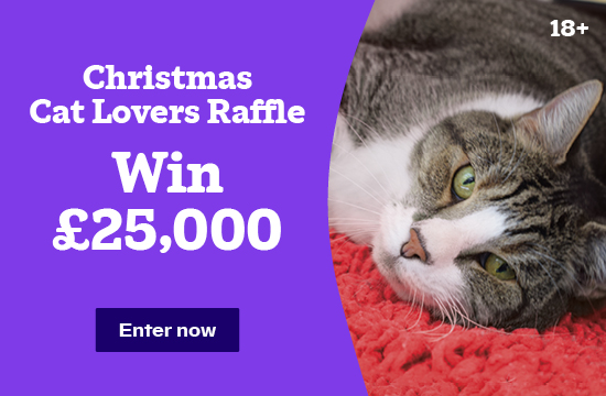 Cat Lovers Raffle