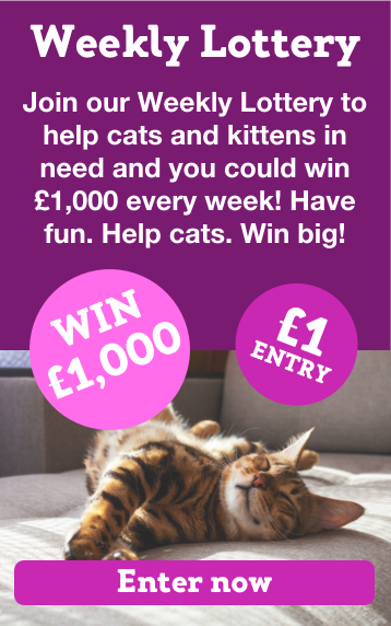 Join the Weekly Lottery