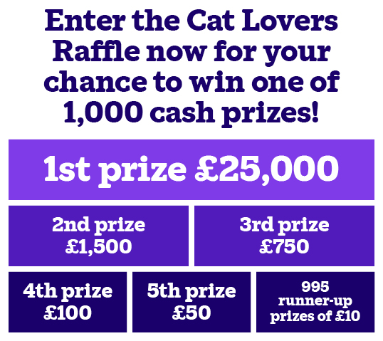 You could win a variety of cash prizes