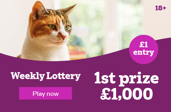 Join the Weekly Lottery