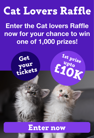 Cat Lovers Raffle